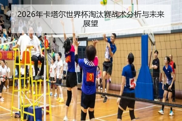 2026年卡塔尔世界杯淘汰赛战术分析与未来展望